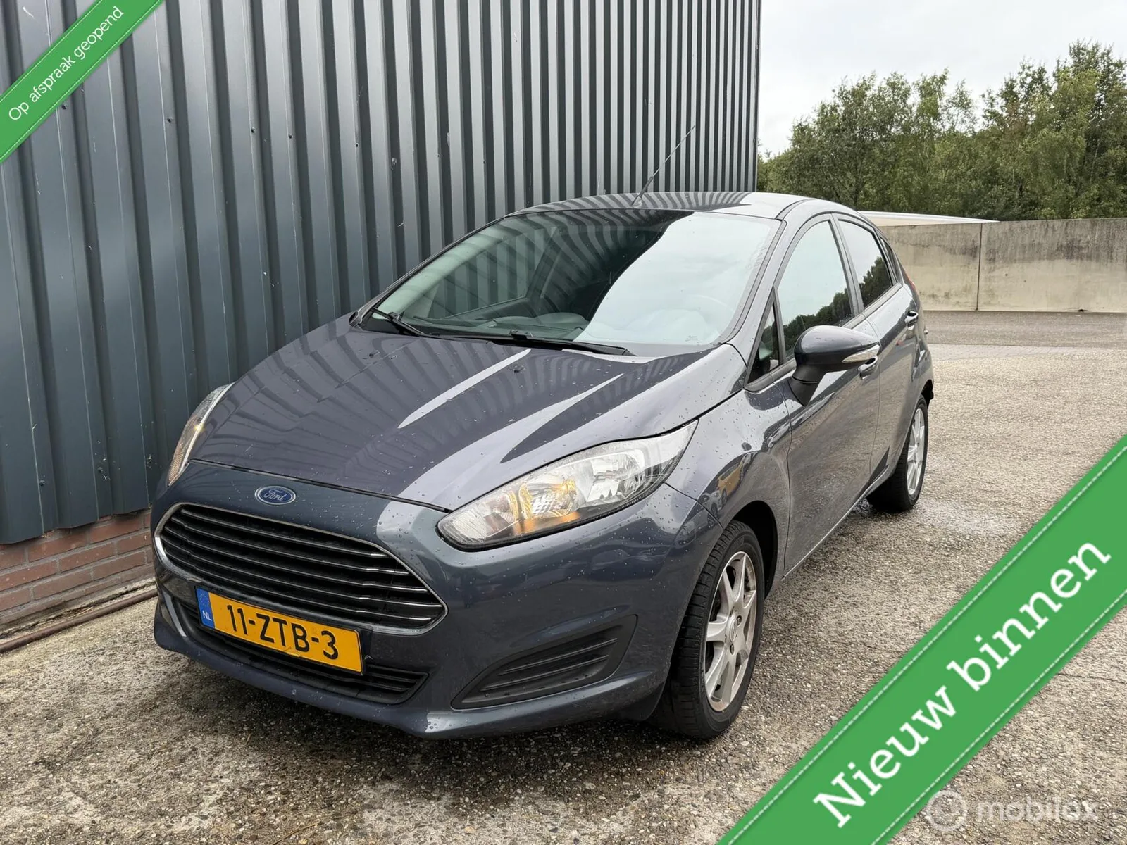 Ford Fiesta (2013) — foto 1