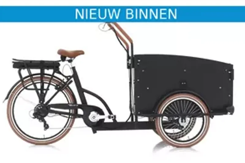 TROY ELEKTRISCH (2023)