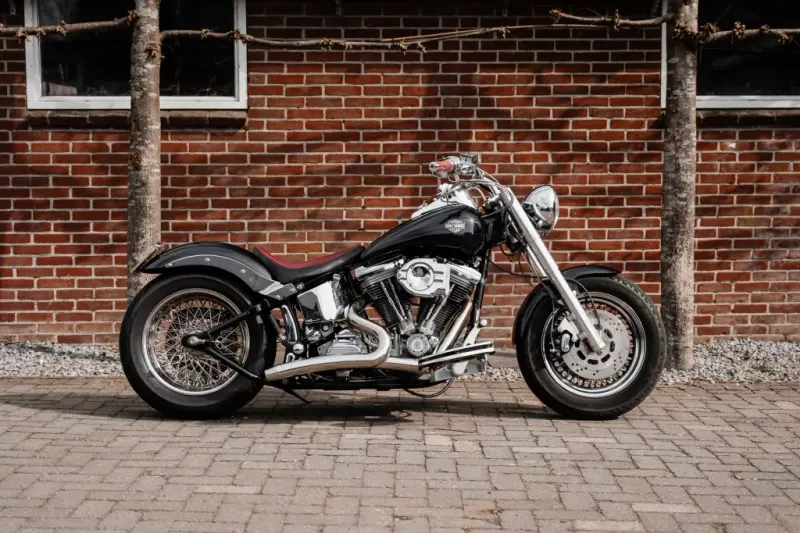 Harley-Davidson Softail Custom (1991)
