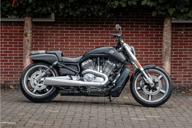 Harley-Davidson V-Rod Muscle (2017)