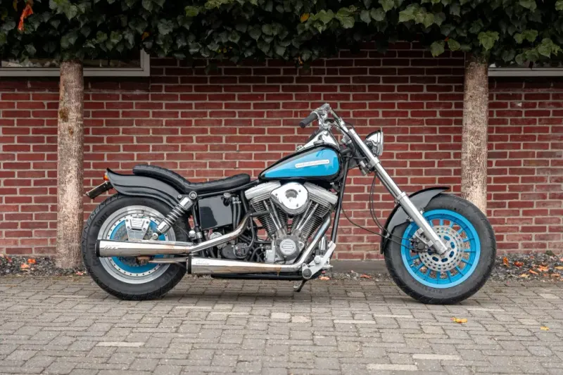Harley-Davidson Custom build Santee (1990)
