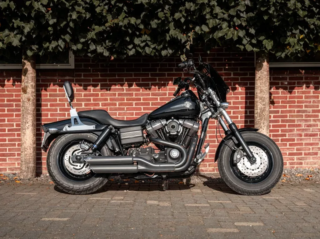 Harley-Davidson Fxdf Dyna Fat Bob (2009) — foto 1