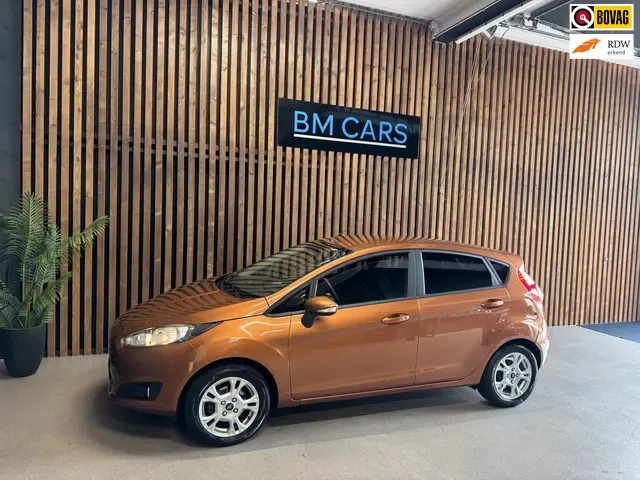 Ford Fiesta (2014) — foto 1