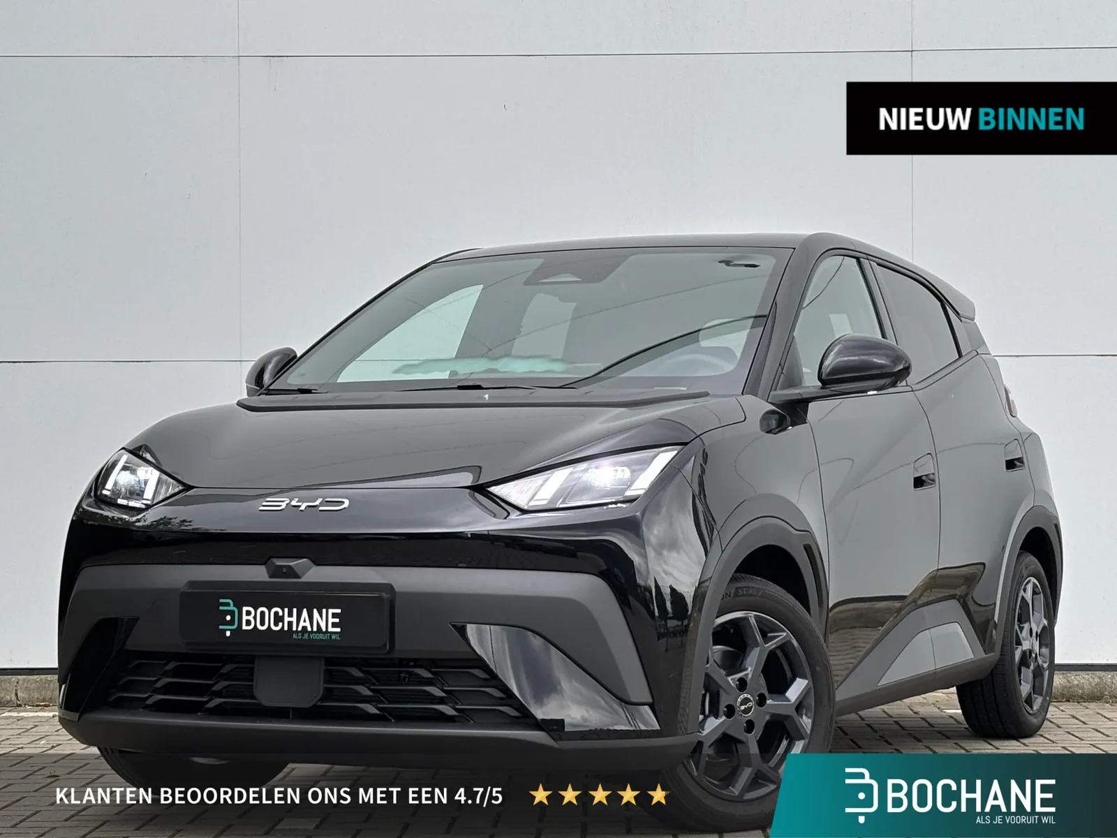 BYD Dolphin (2026) — foto 1