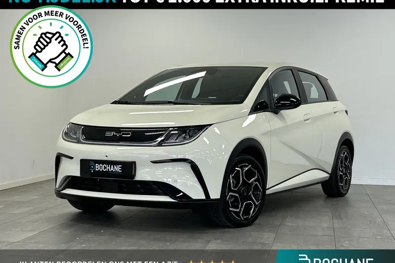 BYD Dolphin (2024)