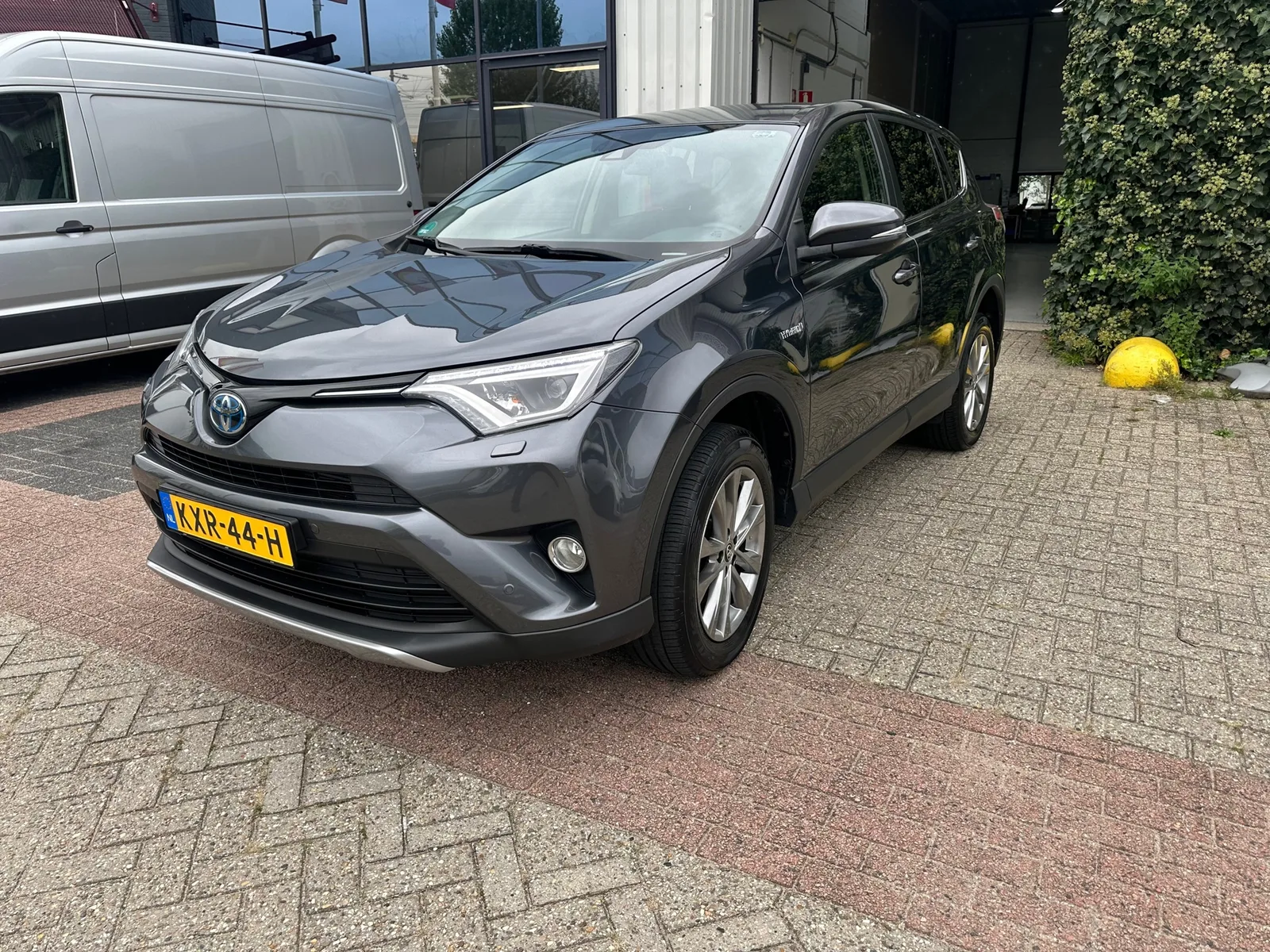 Toyota RAV4 (2019) — foto 1