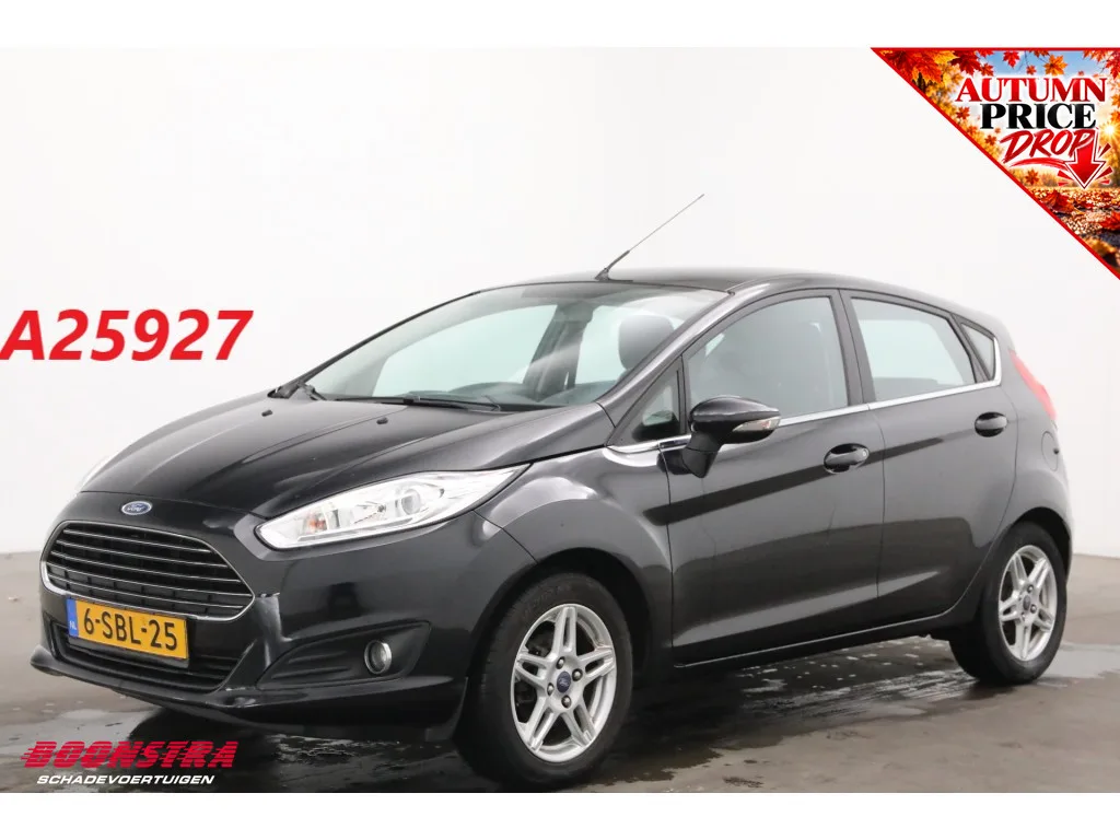 Ford Fiesta (2013) — foto 1