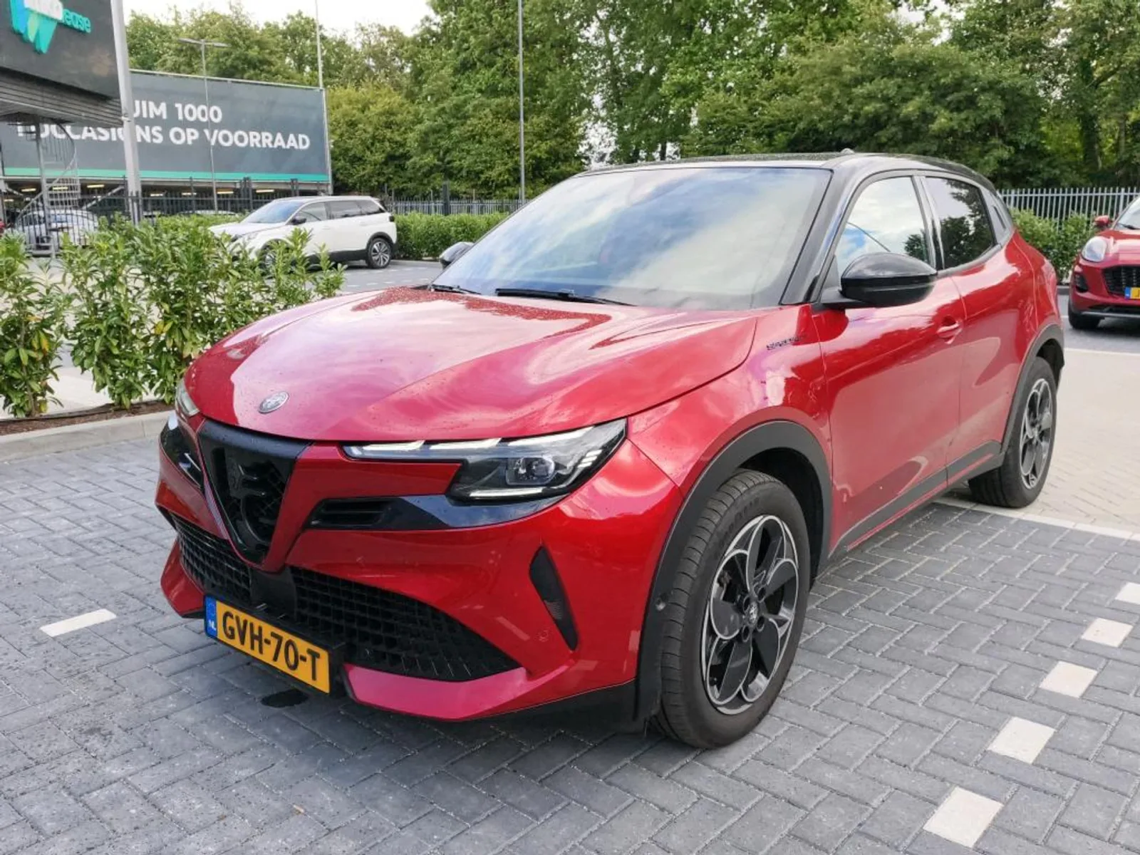 Alfa Romeo Junior (2024) — foto 1