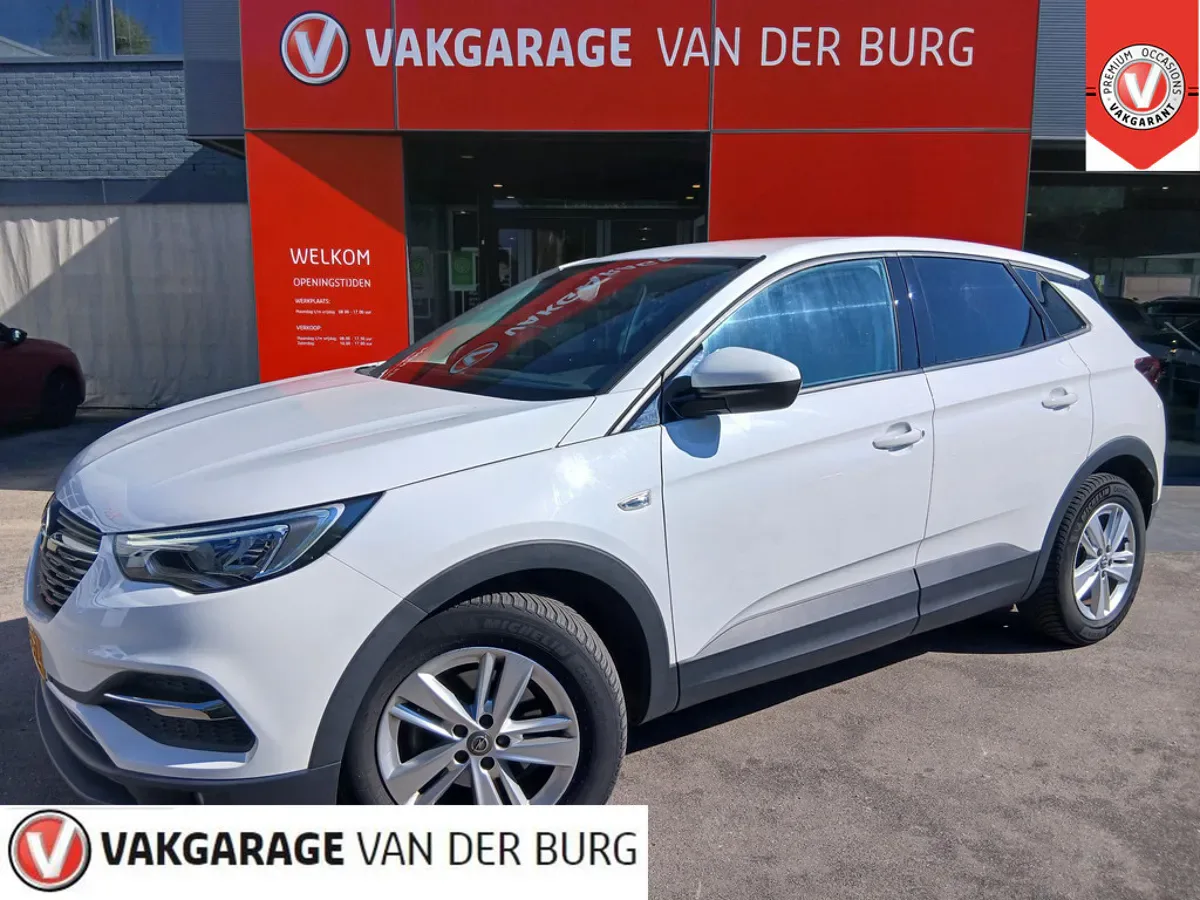 Opel Grandland (2020) — foto 1
