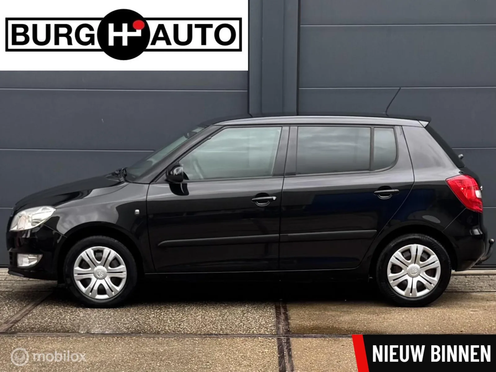 Škoda Fabia (2013) — foto 1
