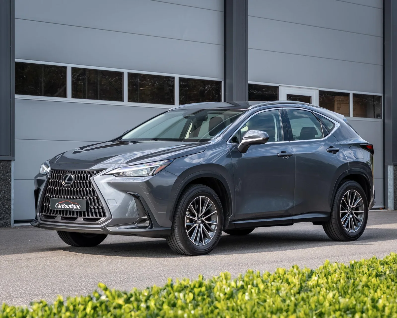 Lexus NX (2024) — foto 1