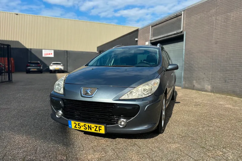 Peugeot 307 (2006)
