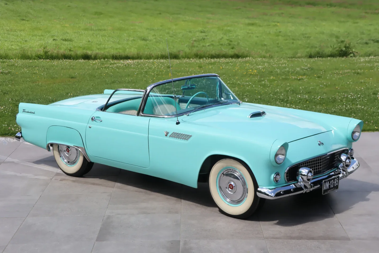 Ford Thunderbird (1955) — foto 1