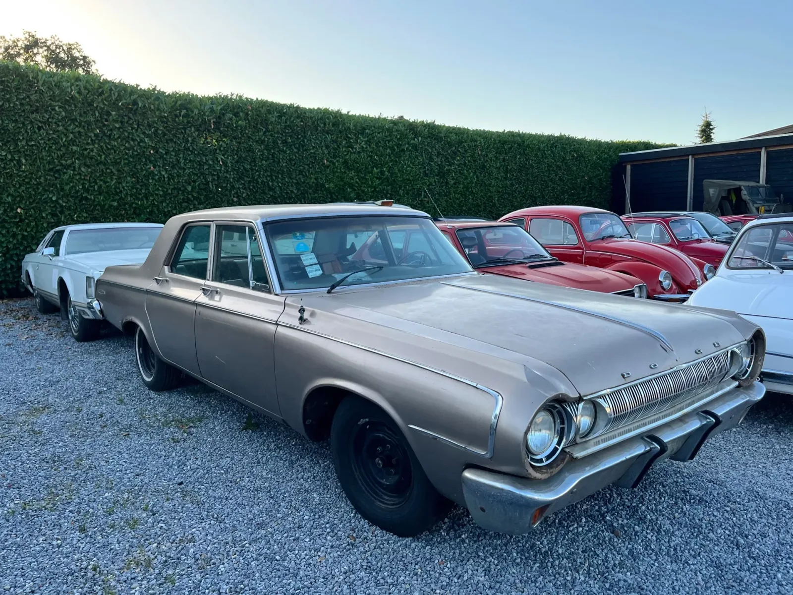 Dodge Palora (1964) — foto 1