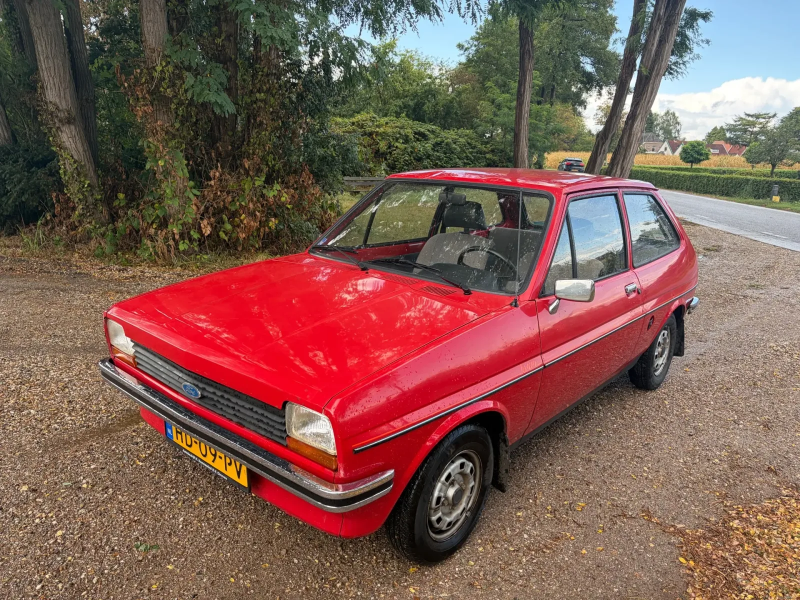 Ford Fiesta (1981) — foto 1