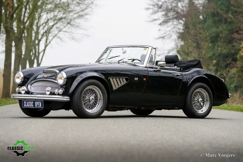Austin Healey (1998)
