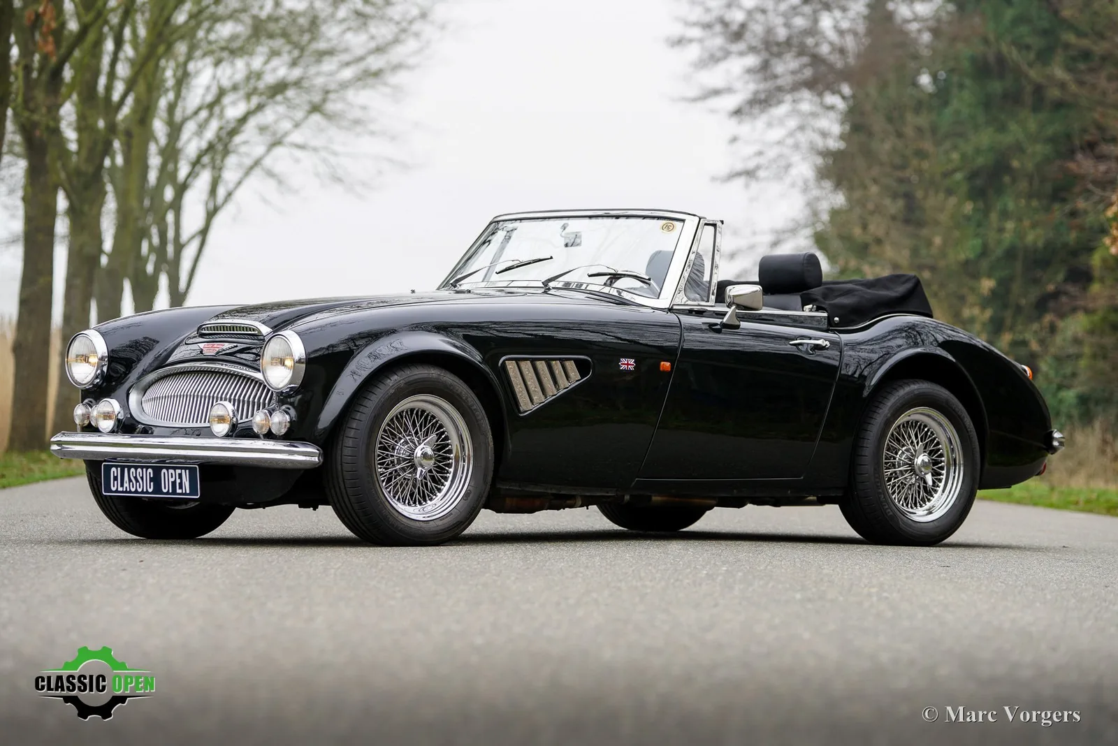 Austin Healey (1998) — foto 1
