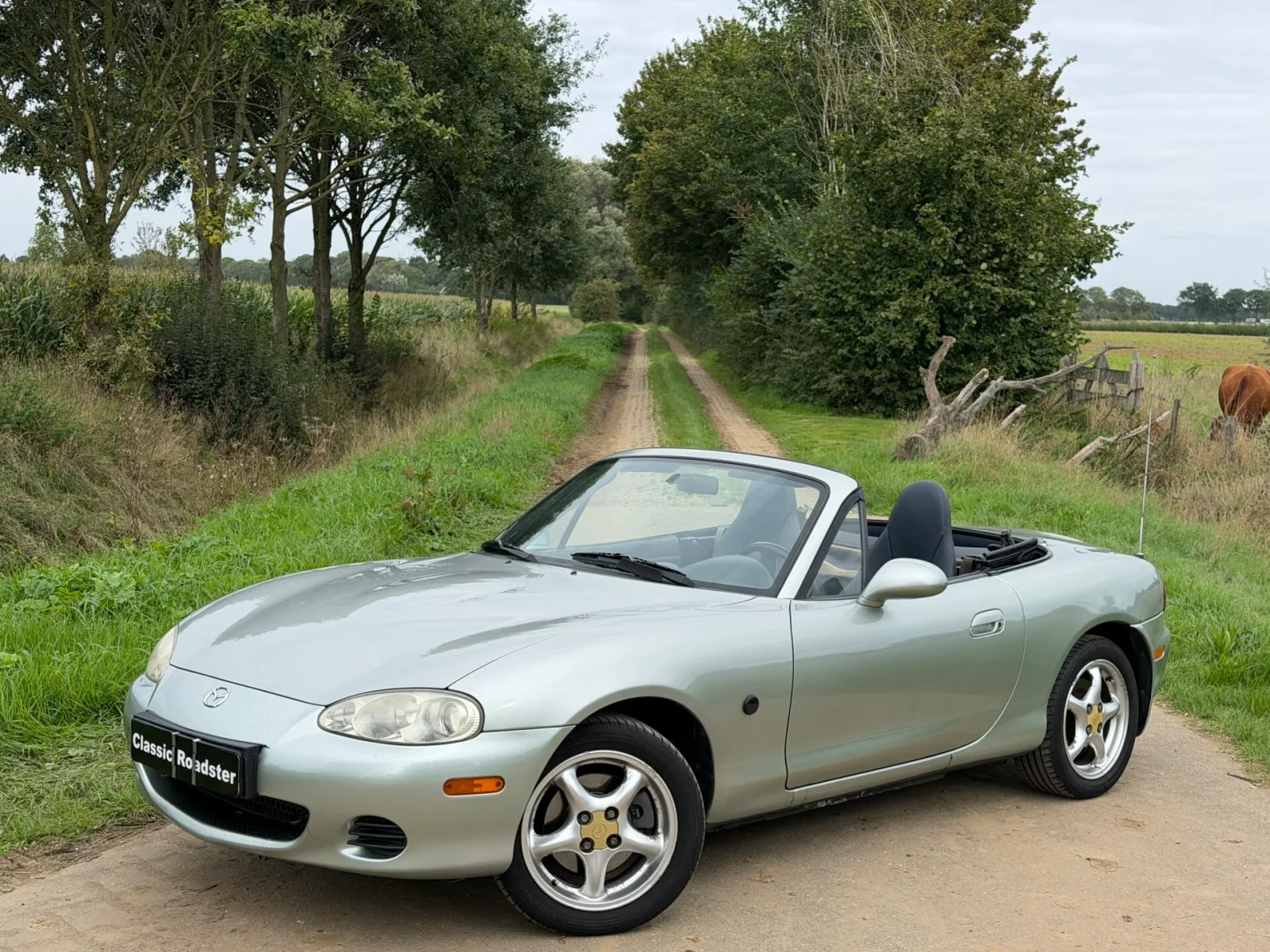 Mazda MX-5 (2003) — foto 1