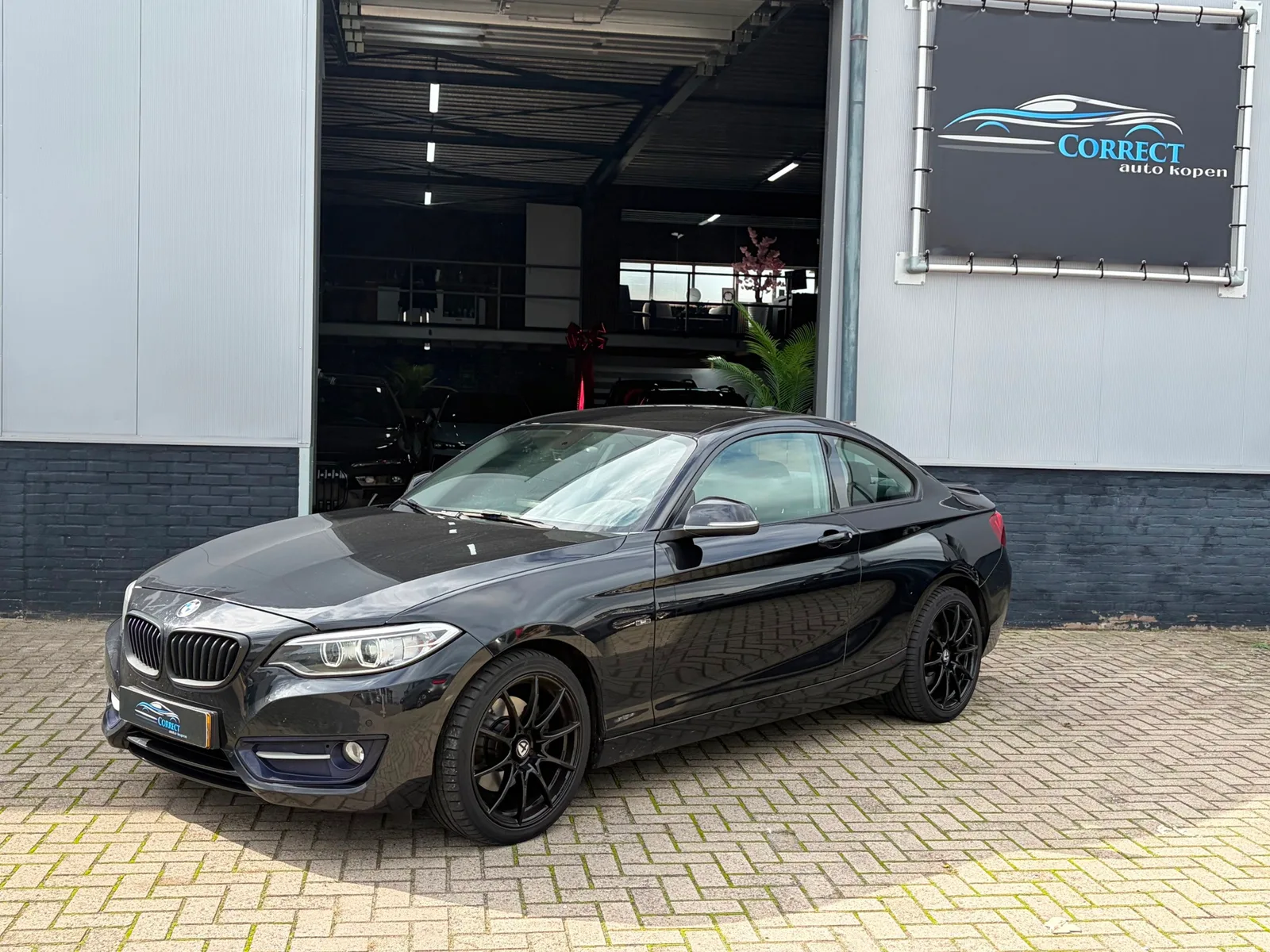 BMW 2-Serie (2014) — foto 1