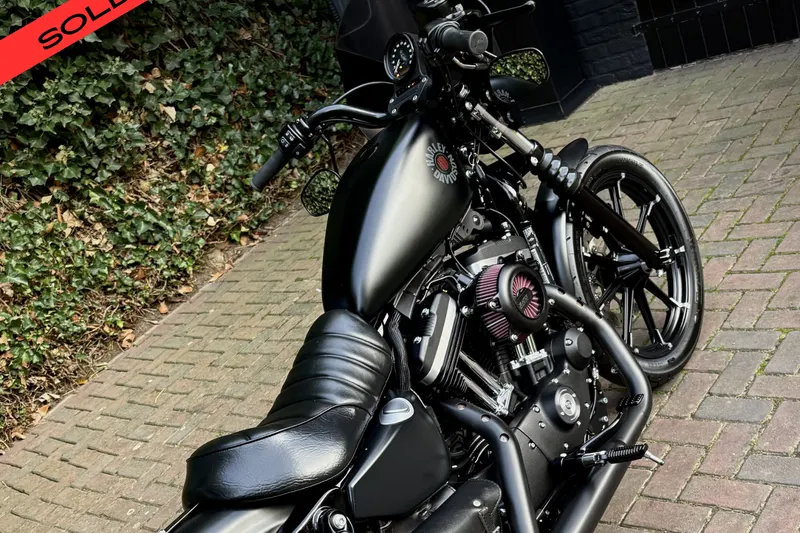Harley-Davidson Sportster Iron 883 (2020)