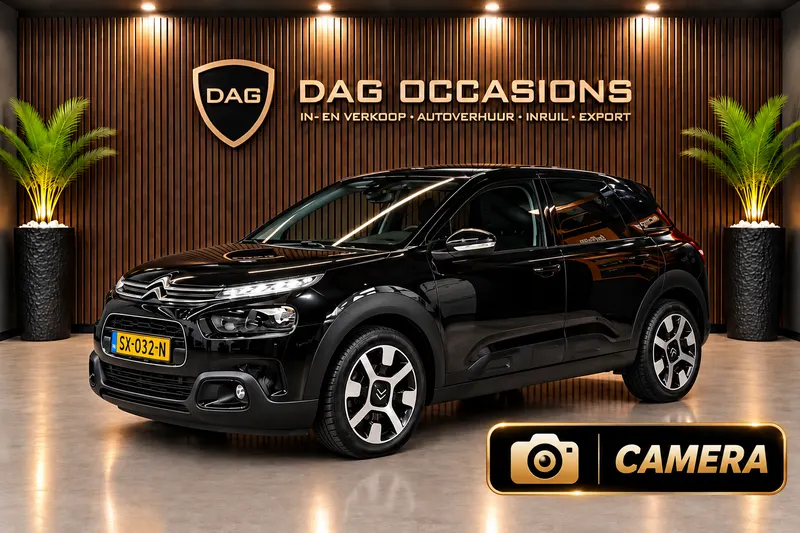 Citroën C4 Cactus (2018)