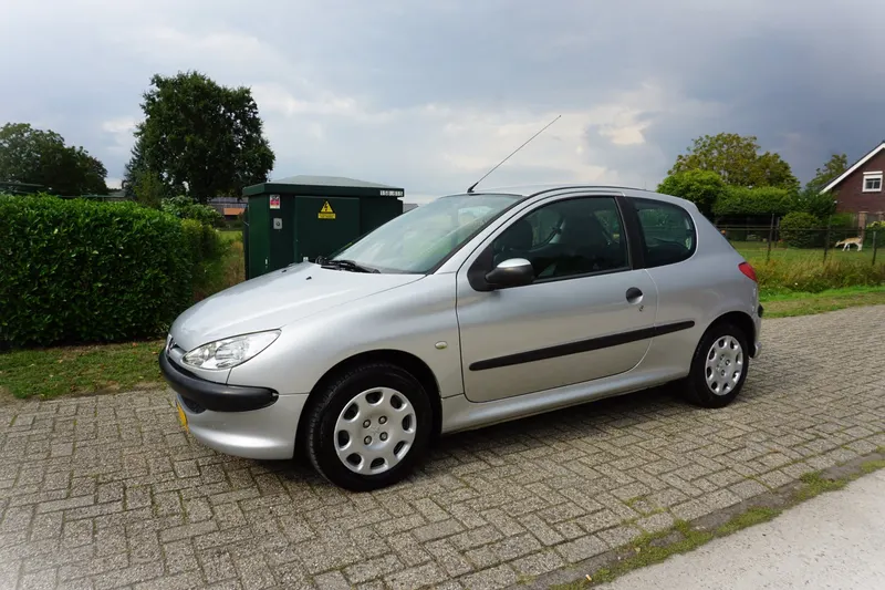 Peugeot 206 (2004)