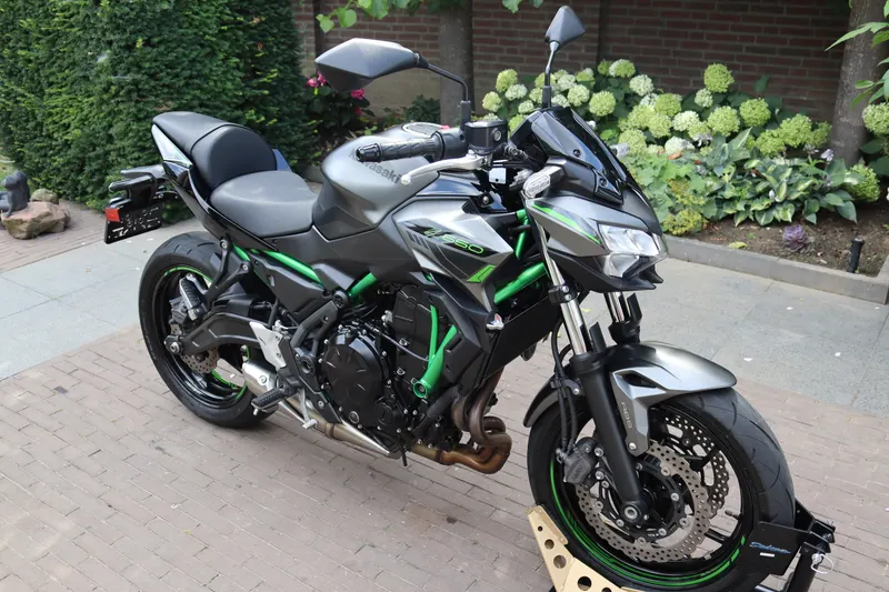 Kawasaki Z650 (2022)