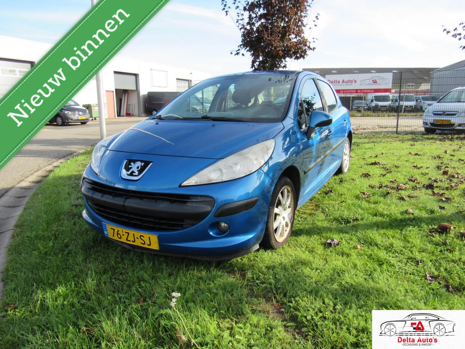 Peugeot 207 (2008) — foto 1