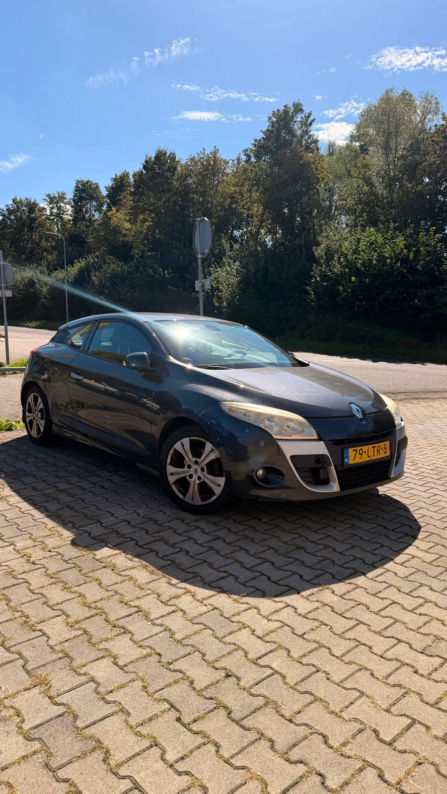 Renault Mégane (2010) — foto 1