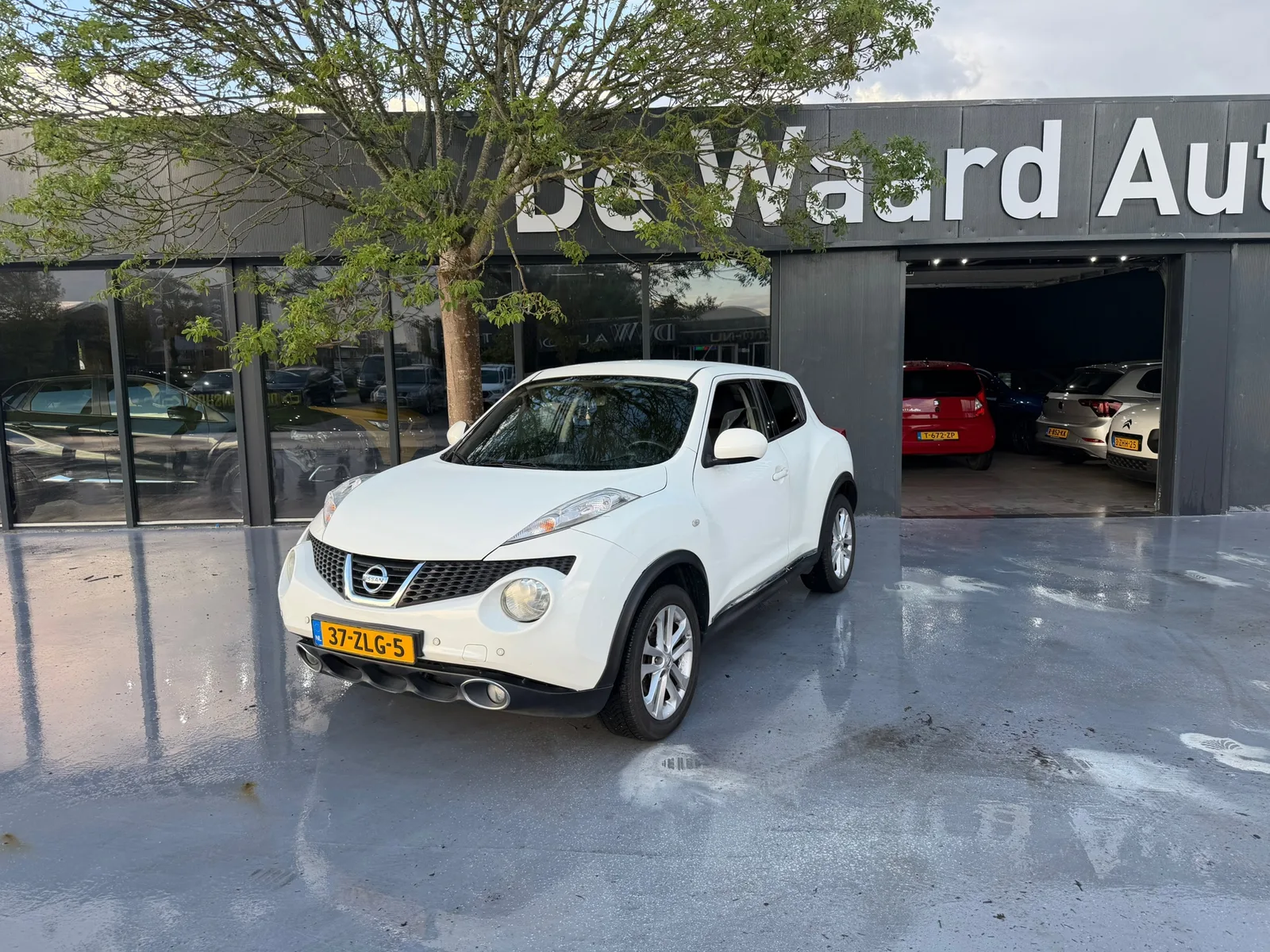 Nissan Juke (2013) — foto 1
