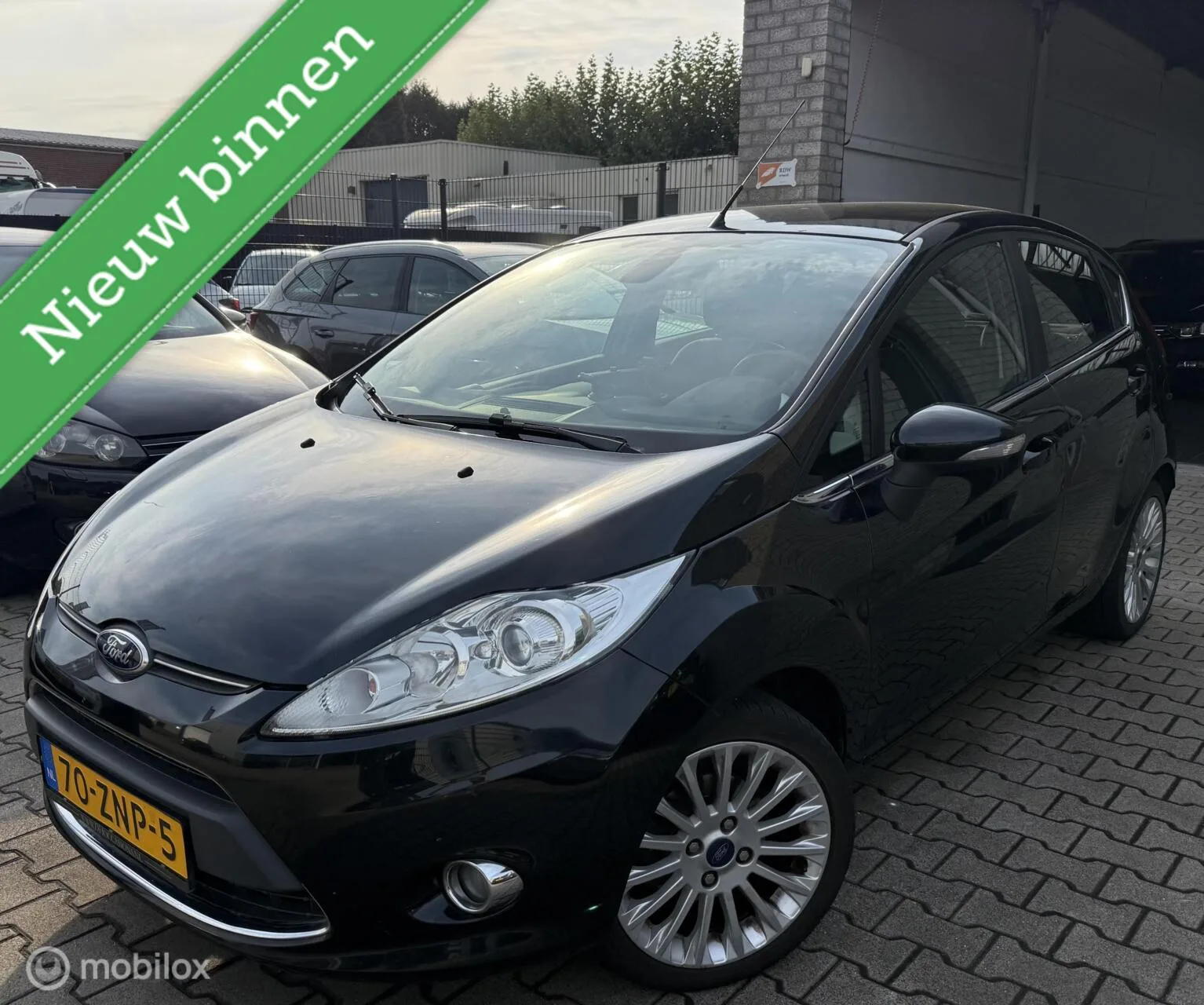 Ford Fiesta (2012) — foto 1