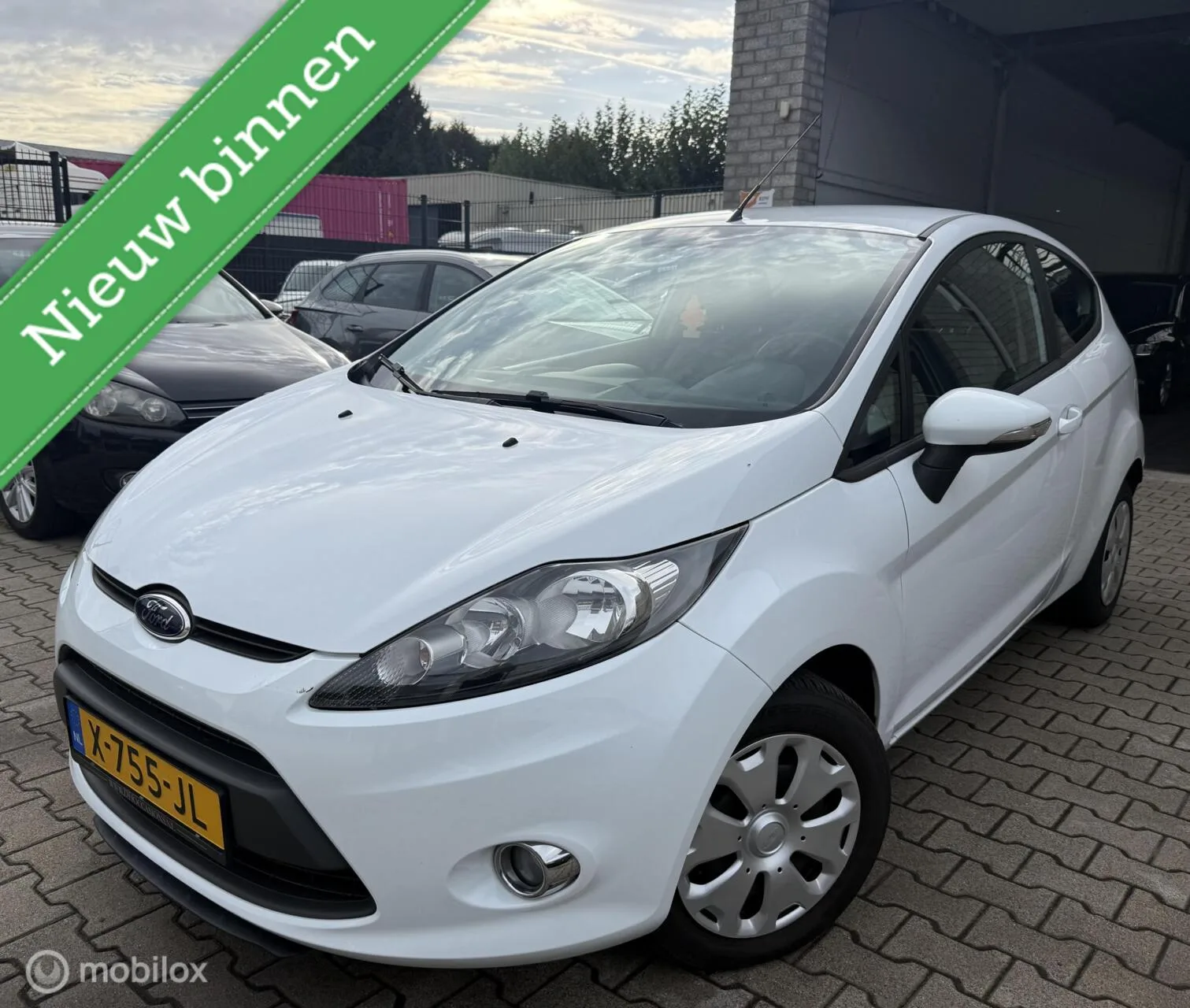 Ford Fiesta (2011) — foto 1