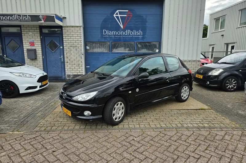 Peugeot 206 (2008)