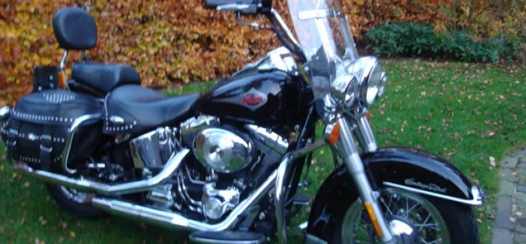 Harley-Davidson Heritage (2000) — foto 1