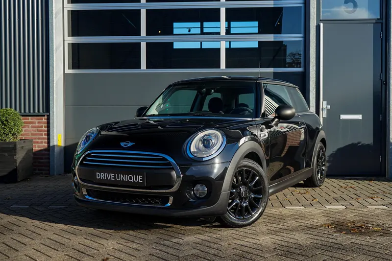 MINI  (2014)