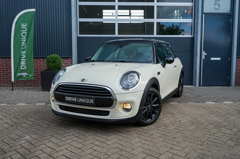 MINI  (2016)