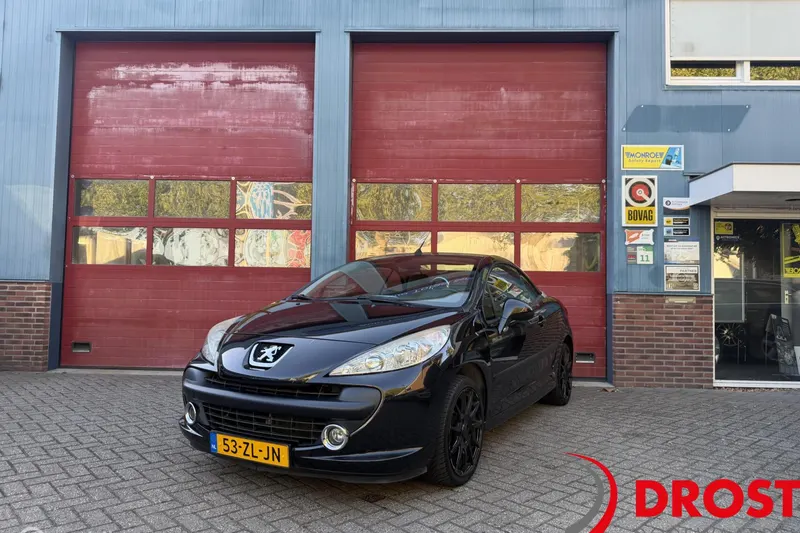 Peugeot 207 (2008)