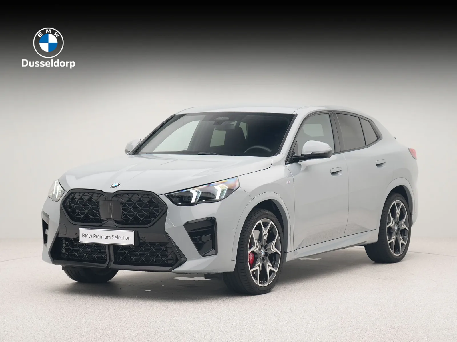 BMW X2 (2024) — foto 1