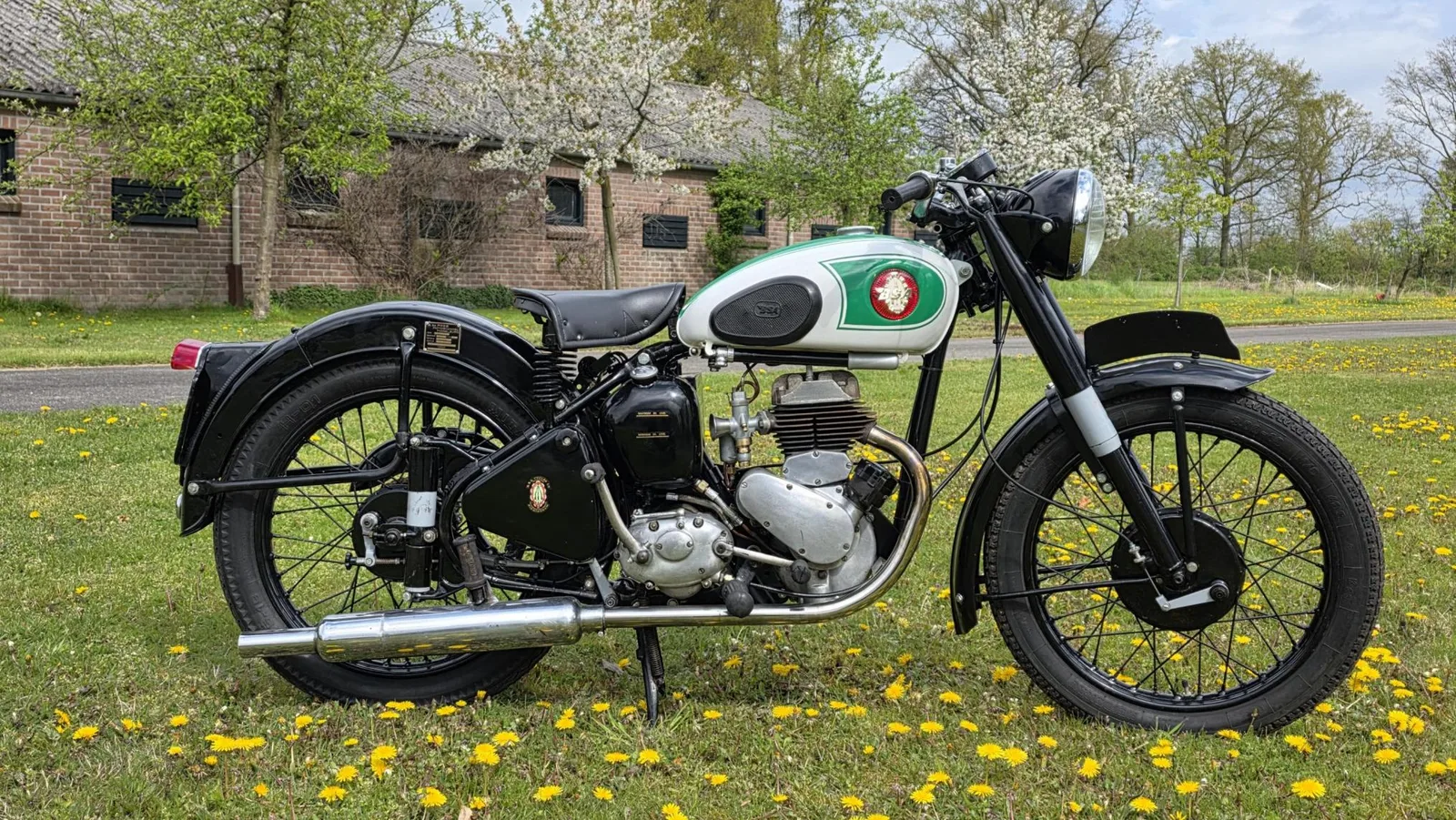 BSA BSA 250cc C11 with dutch papers (1956) — foto 1