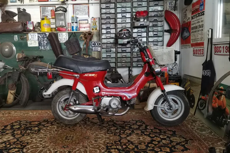 Honda Chaly clone (2026)