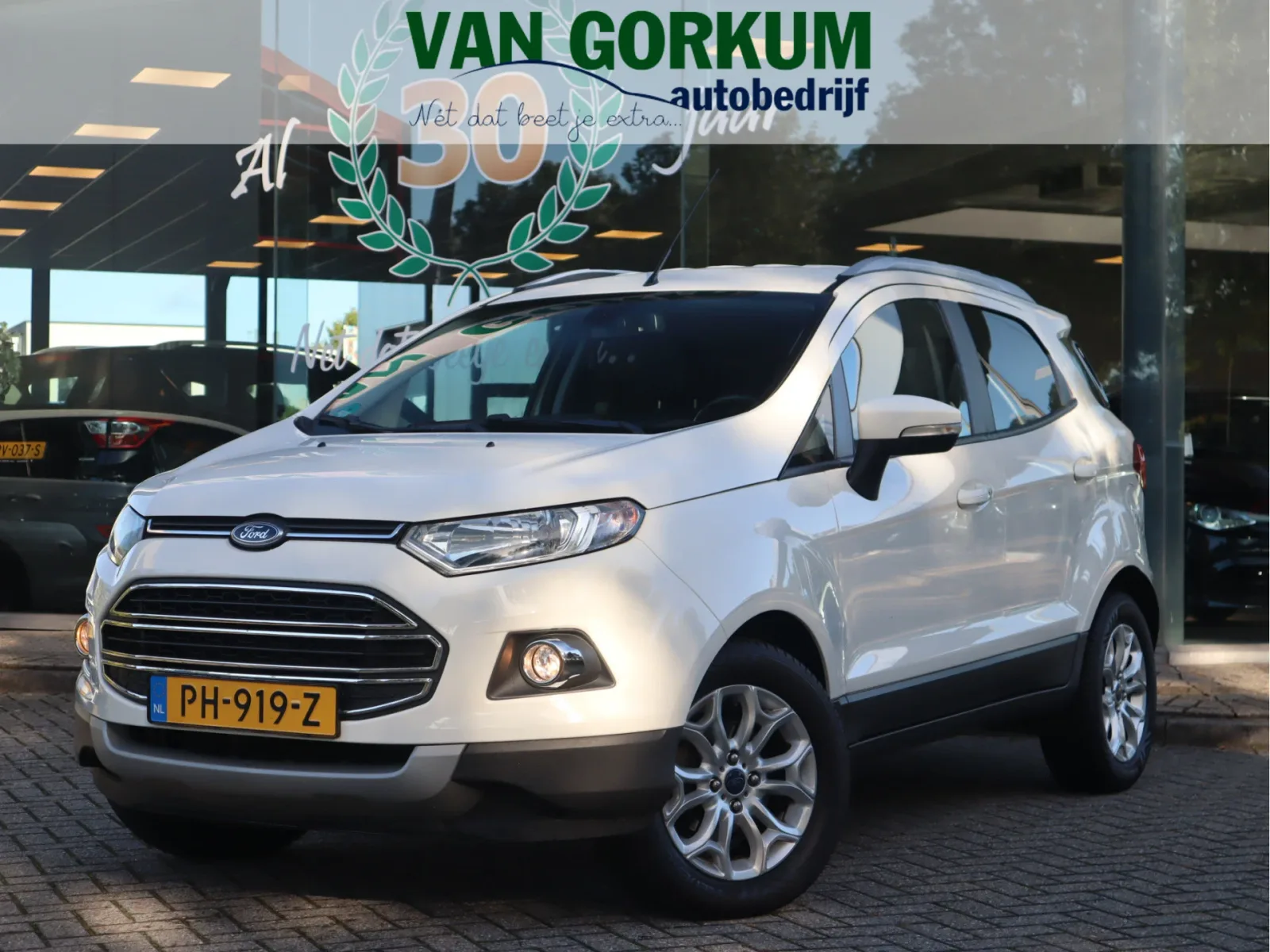 Ford EcoSport (2017) — foto 1