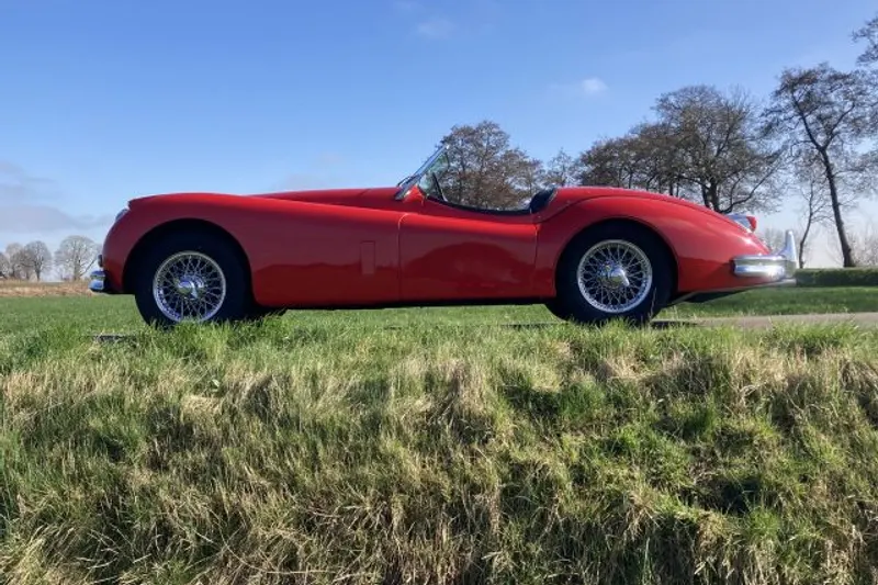 Jaguar XK 140 (1954)