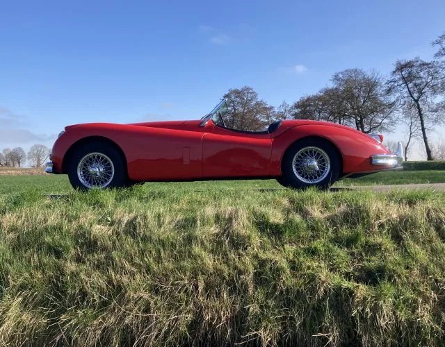 Jaguar XK 140 (1954) — foto 1