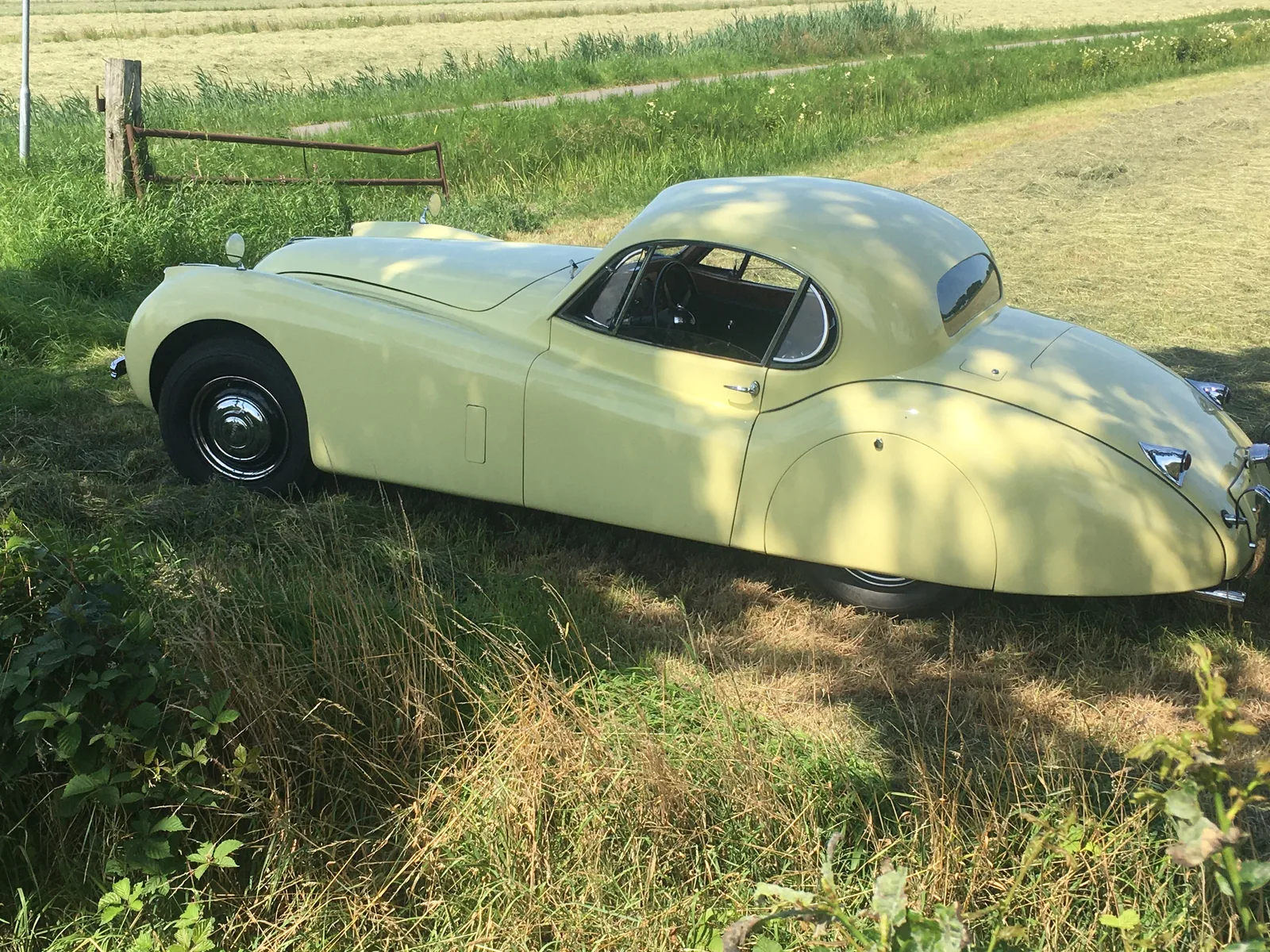Jaguar XK 120 (1952) — foto 1
