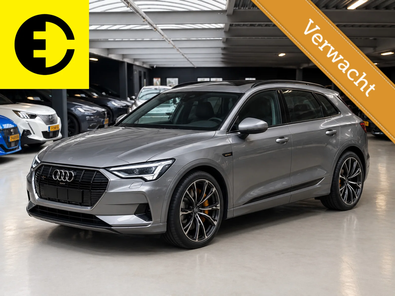 Audi e-tron (2018) — foto 1