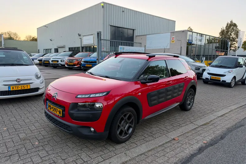 Citroën C4 Cactus (2017)