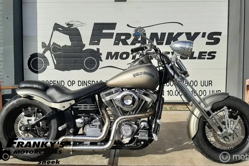 Harley-Davidson Custom (2020)