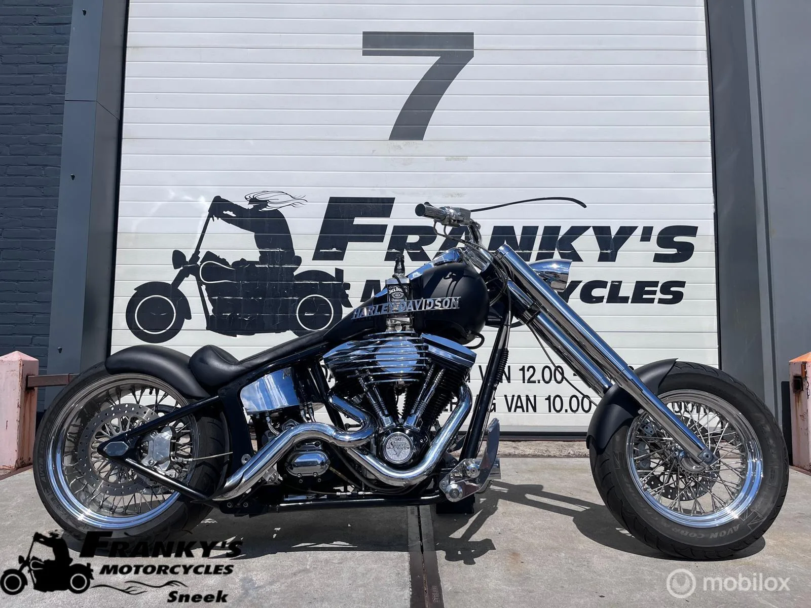 Harley-Davidson Softail (2007) — foto 1