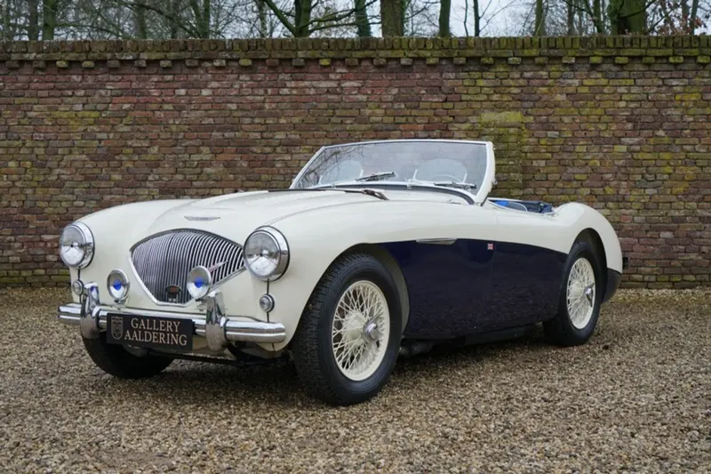 Austin Healey (1955)