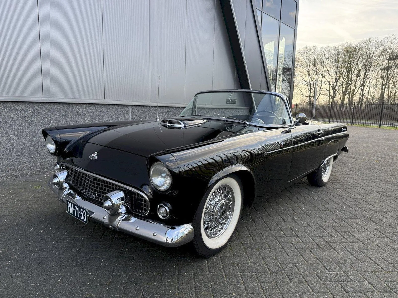 Ford Thunderbird (1955) — foto 1